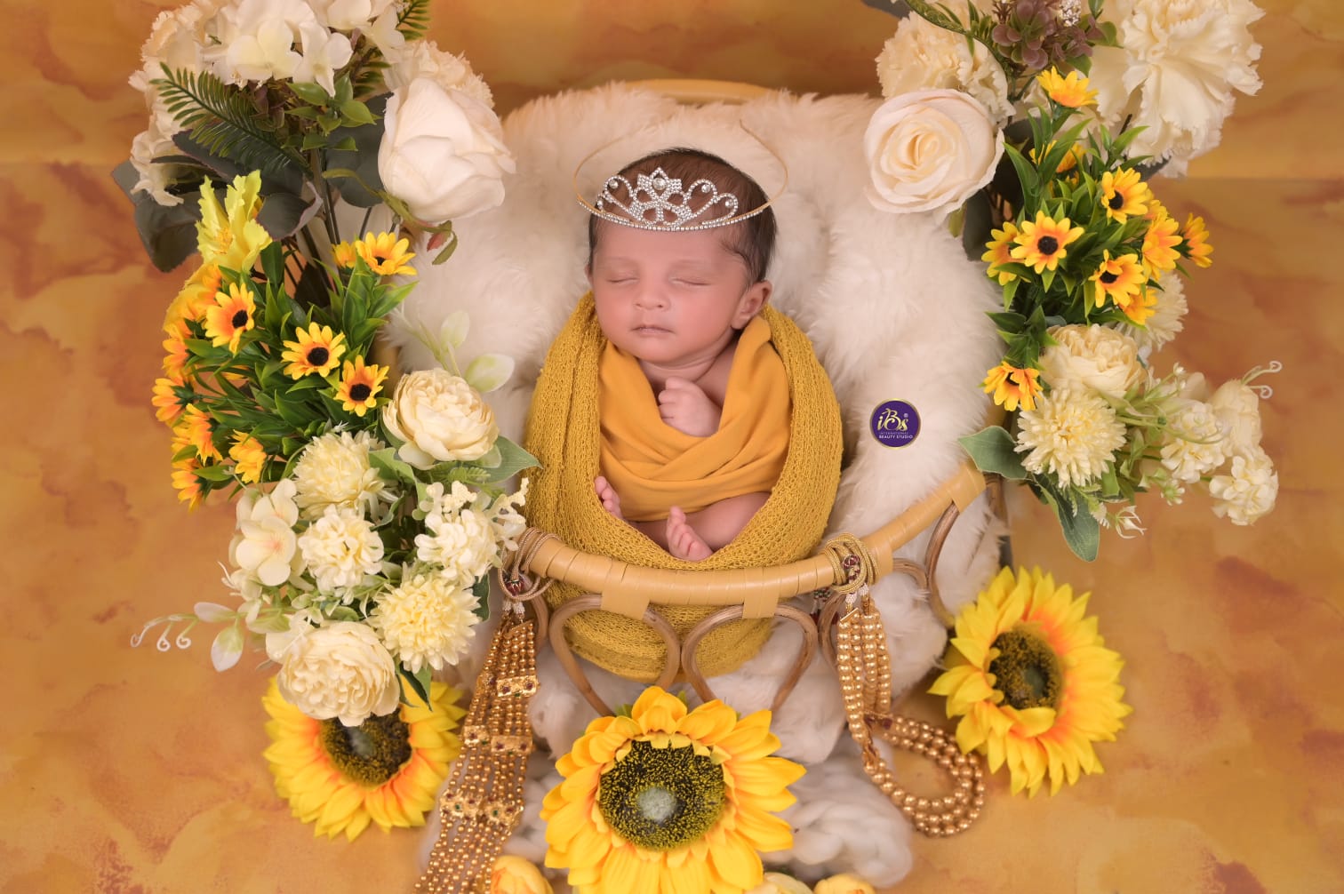 New Born WhatsApp Image 2025 01 03 At 1.41.20 PM (1) baby photoshoot gallery image at IBS Baby Photoshoot studio in Pune