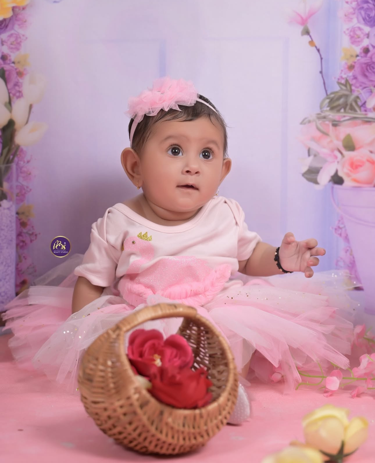 Sharanya's Newborn Photoshoot IMG 8768 baby photoshoot gallery image at IBS Baby Photoshoot studio in Pune