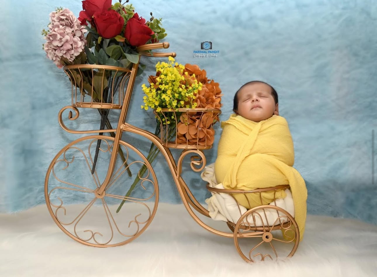 Sharanya's Newborn Photoshoot IMG 8860 baby photoshoot gallery image at IBS Baby Photoshoot studio in Pune